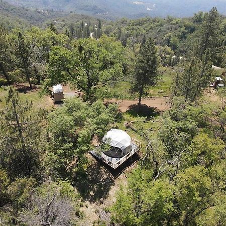 Enchanted Forest Dome ,10-15 Minutes To Kings Canyons-New Pellet Stove For Cozy Warm Nights Dunlap エクステリア 写真