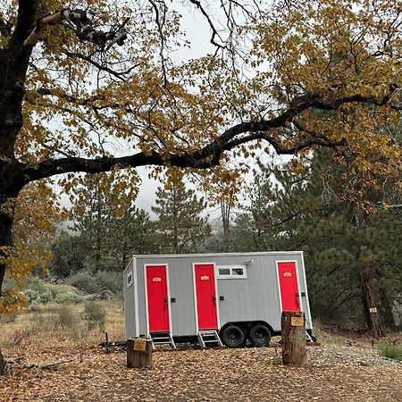Enchanted Forest Dome ,10-15 Minutes To Kings Canyons-New Pellet Stove For Cozy Warm Nights Dunlap エクステリア 写真