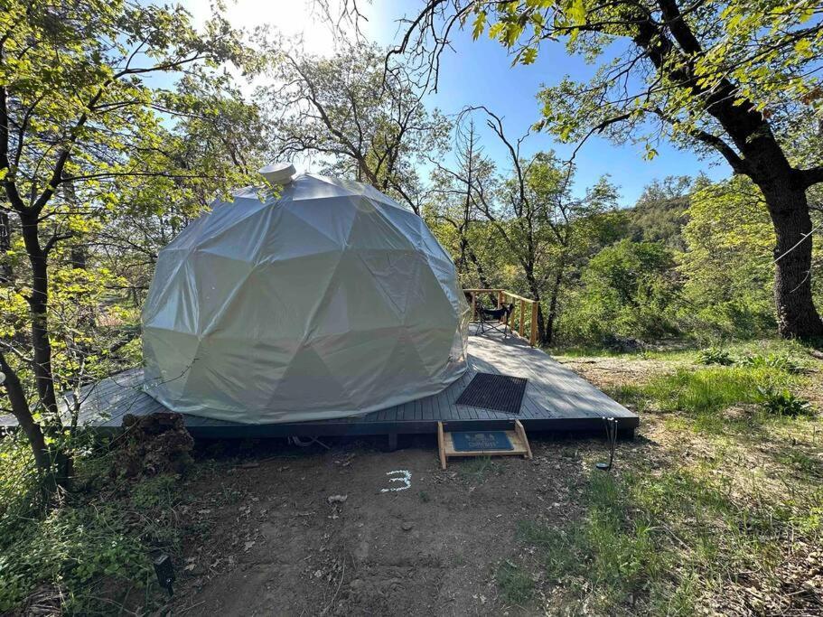 Enchanted Forest Dome ,10-15 Minutes To Kings Canyons-New Pellet Stove For Cozy Warm Nights Dunlap エクステリア 写真